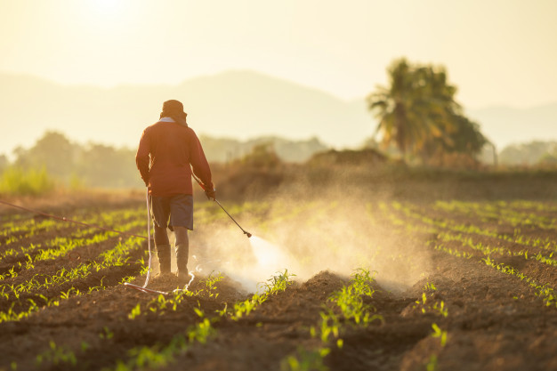 asian-farmer-working-field-spraying-chemical_30478-5123.jpg