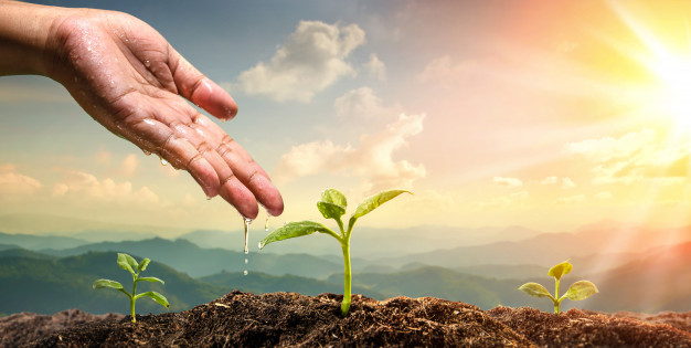 woman-hand-watering-young-plant-natural-mountain-background_104033-7.jpg